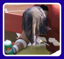 heat exhaustion